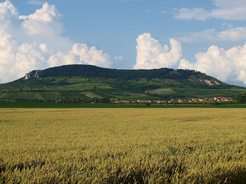 Penzion Kratochvil Dolní Dunajovice Exteriör bild