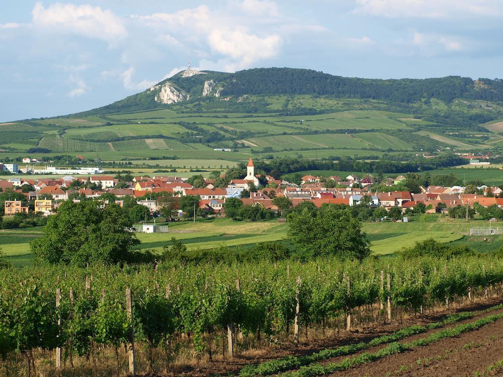 Penzion Kratochvil Dolní Dunajovice Exteriör bild