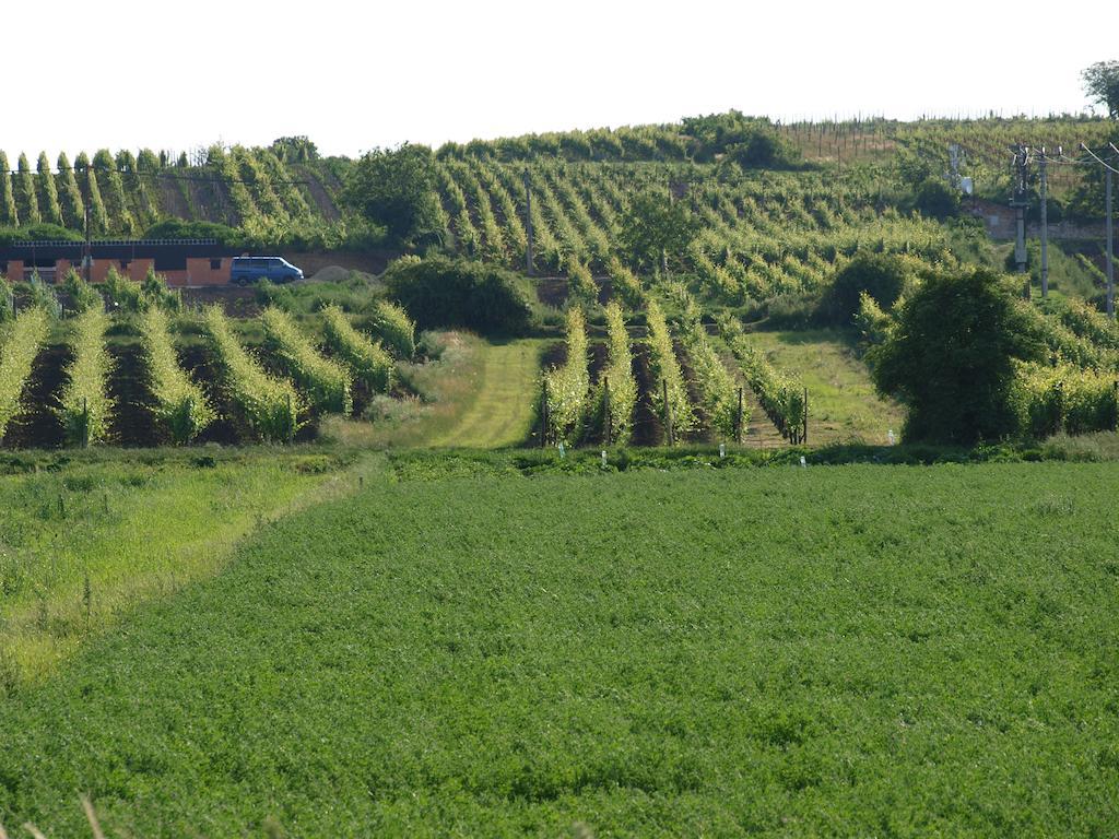 Penzion Kratochvil Dolní Dunajovice Exteriör bild